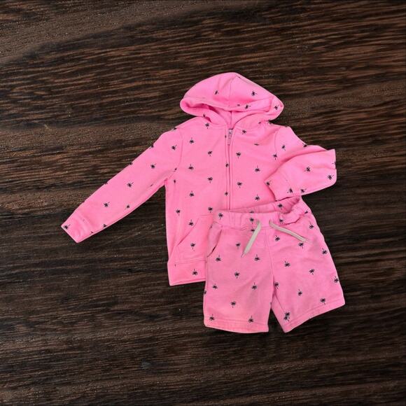 Old Navy Pink Palm Tree Hoodie & Shorts Set – Size 4T/5T - Picture 4 of 10